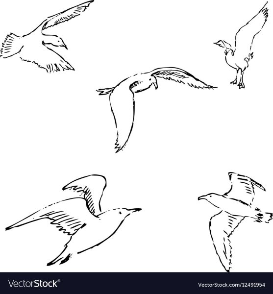 Чайка карандашом в небе