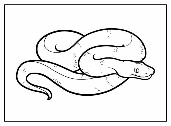 Степная гадюка раскраска