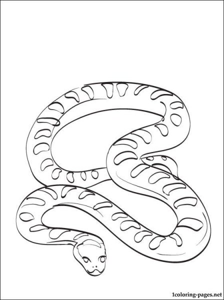 Уж раскраска для детей