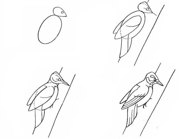 Лесные птицы раскраска для детей