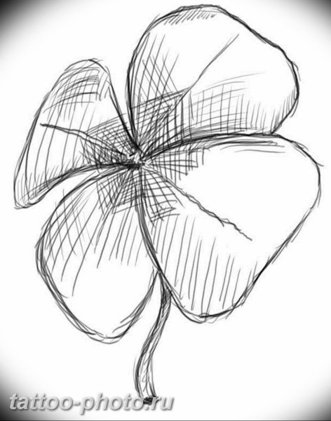 Клевер карандашом