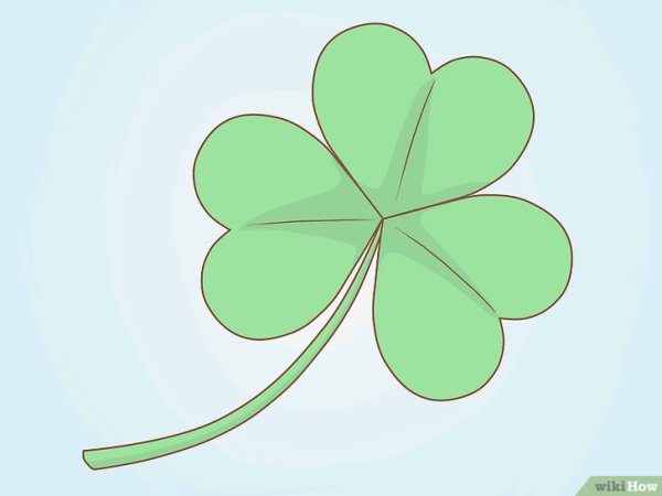 Клевер для срисовки