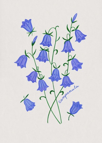 Рисунок колокольчиков цветов карандашом