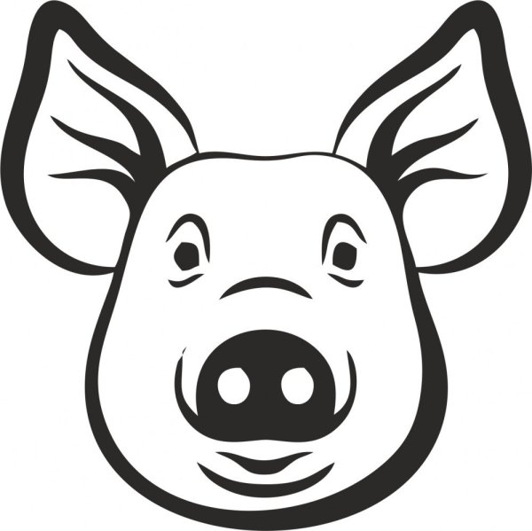 Морда свинки