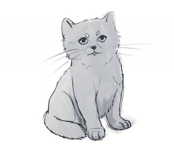 Рисунки для срисовки коты