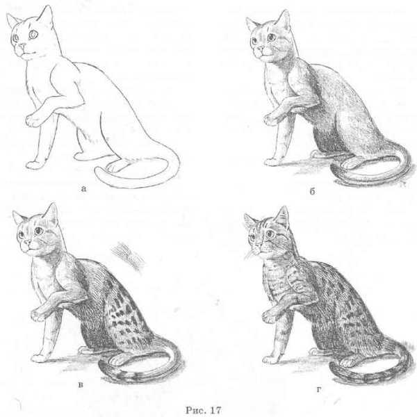 Кошка сидит рисунок карандашом