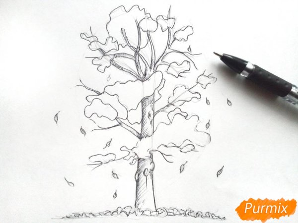 Рисунок падающего листа с дерева карандашом