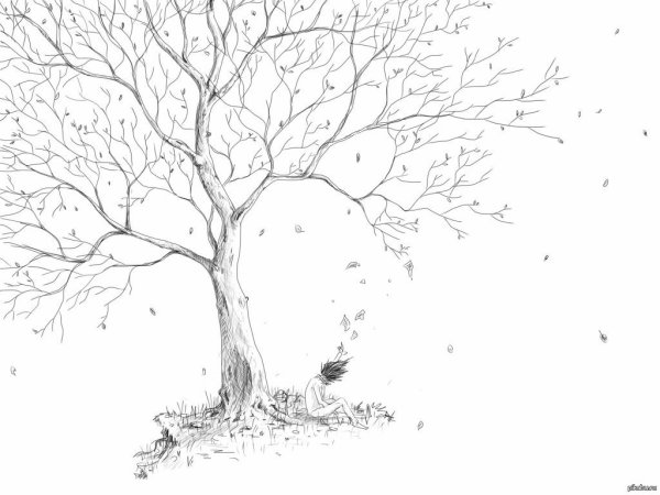Осеннее дерево карандашом
