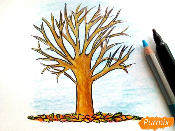 Осеннее дерево рисунок карандашом