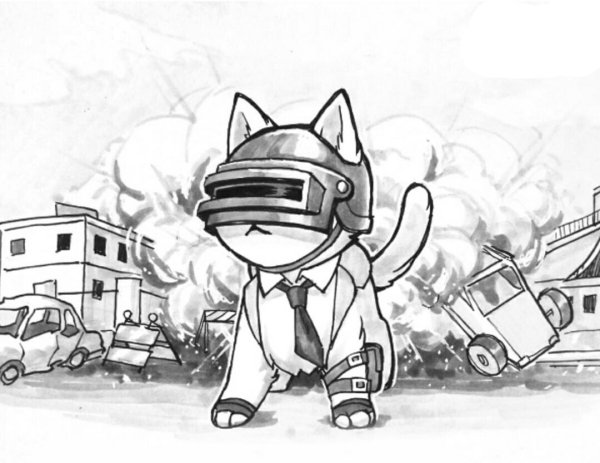 PUBG котики