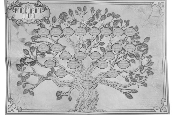 Рисование генеалогического дерева