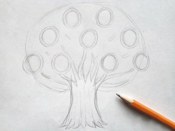 Генеалогическое дерево раскраска