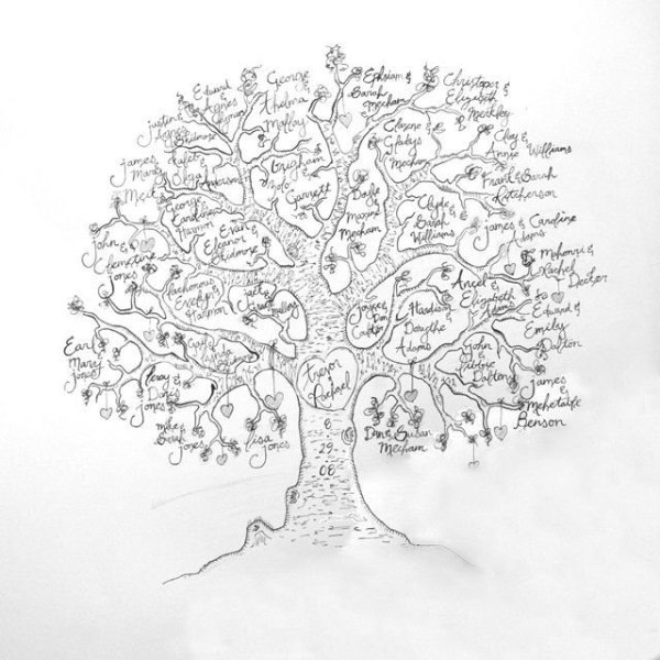 Рисование генеалогического дерева