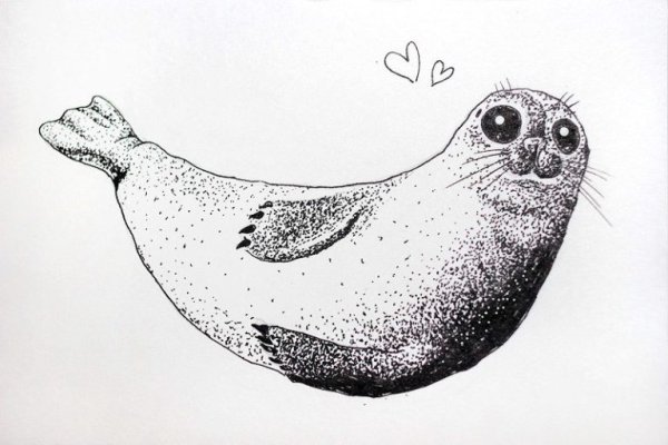 Рисунки тюленя для срисовки