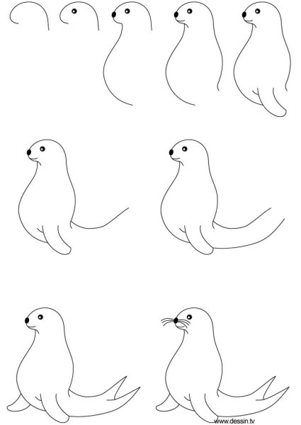 Рисование морской котик