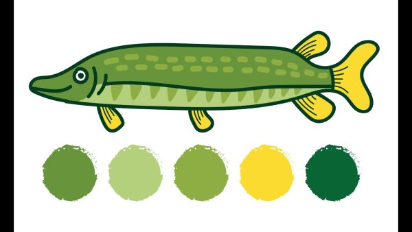 Байка о щуке зубастой