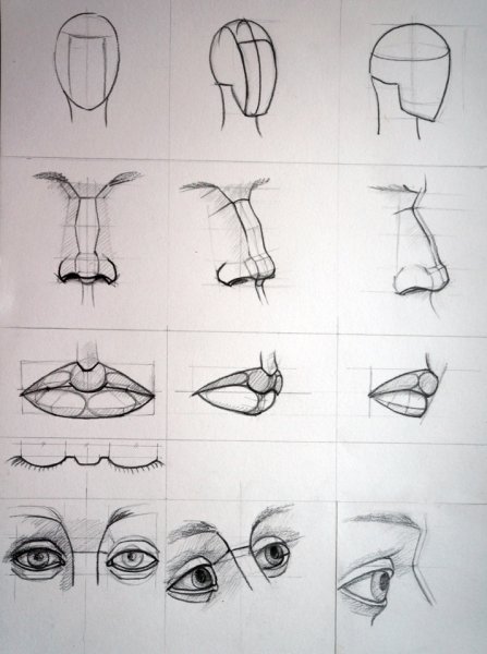 Уроки рисования карандашом части лица