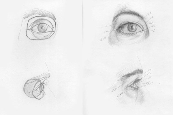 Уроки рисования карандашом части лица