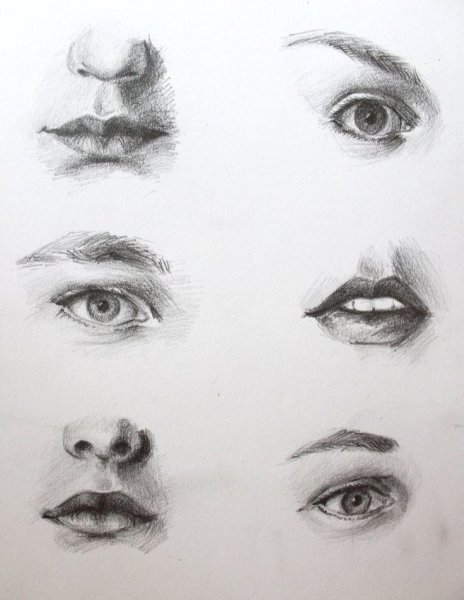 Зарисовки частей лица