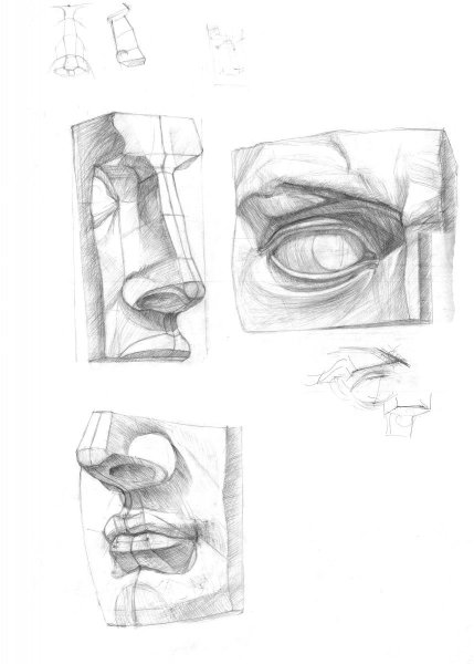 Академическое построение носа Давида