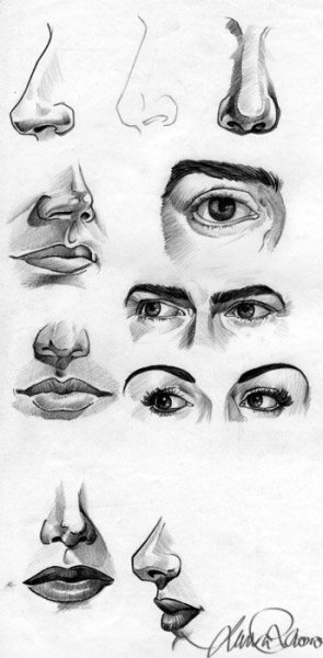 Рисование отдельных частей лица