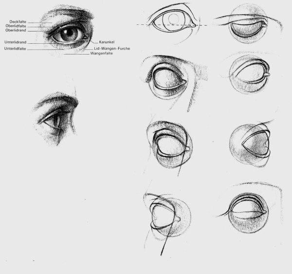 Ухо с разных ракурсов