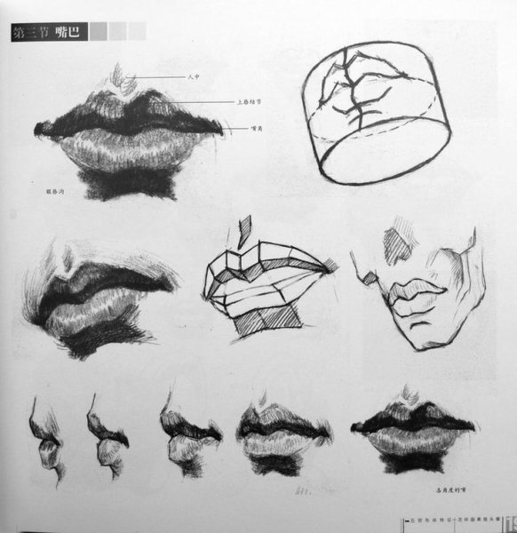 Нос рисунок с разных ракурсов