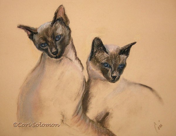 Кошка карандашом