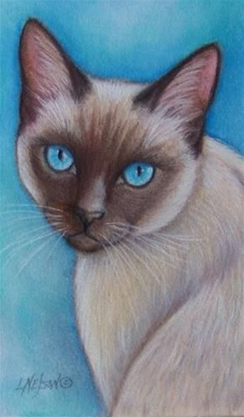 Сидячая кошка карандашом