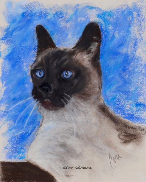 Сиамский кот эскиз