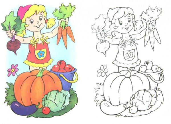 Раскраска огород с овощами для детей