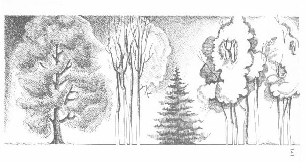 Несложный рисунок лес