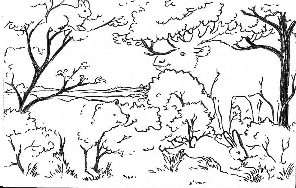 Береза раскраска для детей