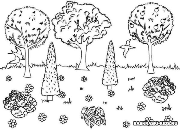 Тропинка раскраска для детей