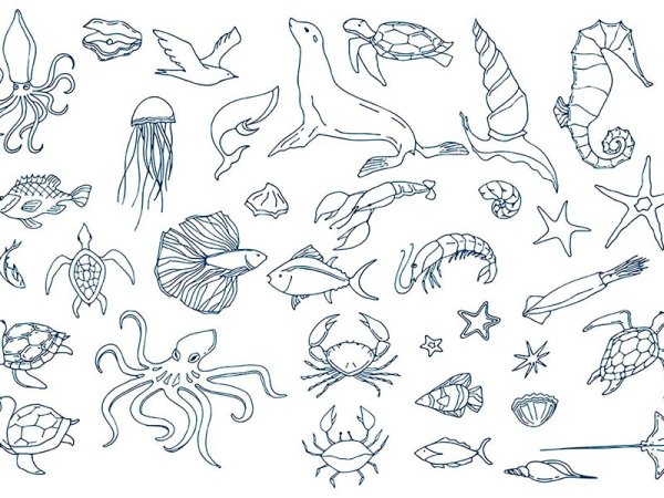 Нарисовать морских обитателей