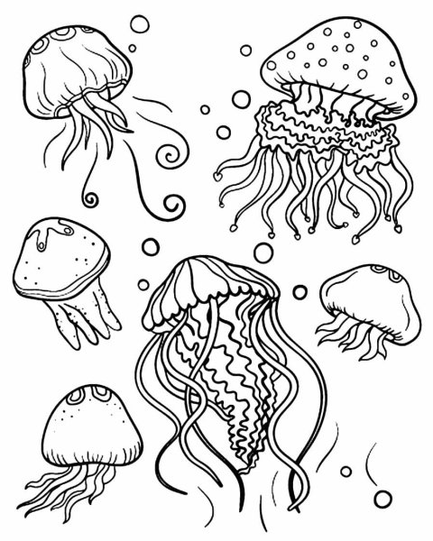 Морские обитатели медуза раскраска