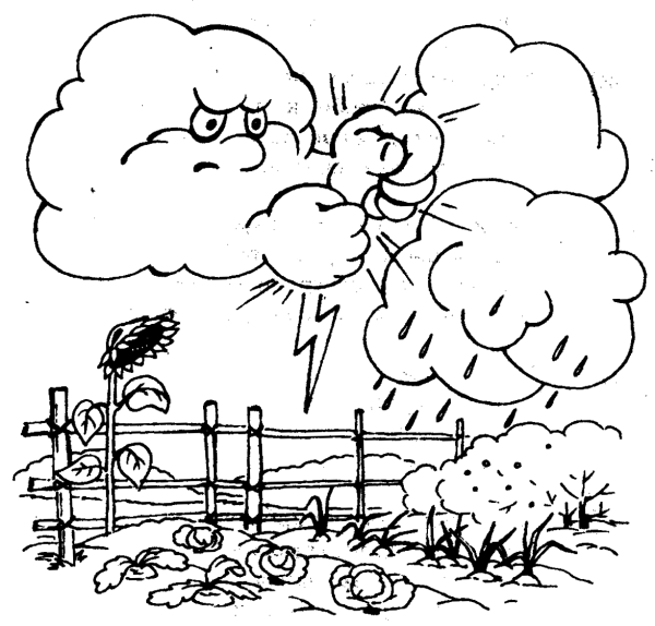 Гроза Графика