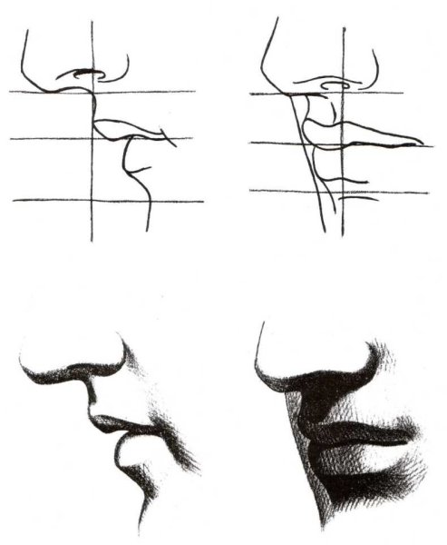 Зарисовки рта