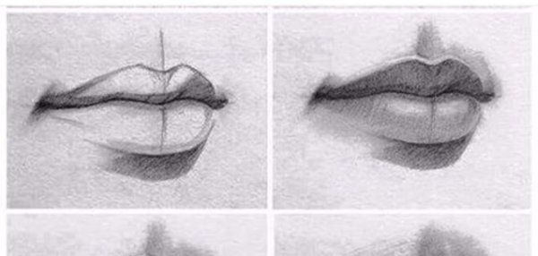 Мужские губы анатомия