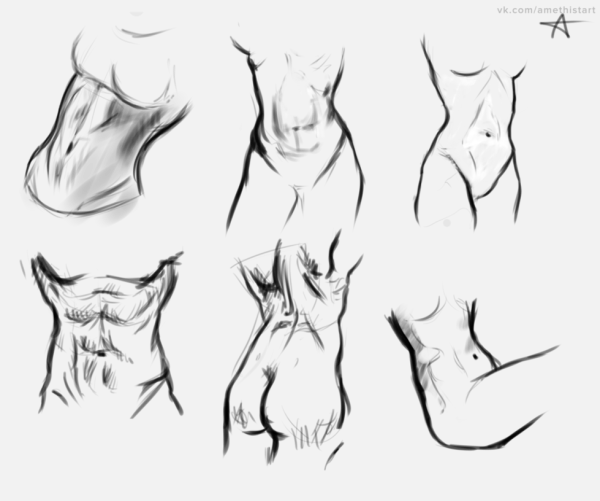 Женский торс рисунок