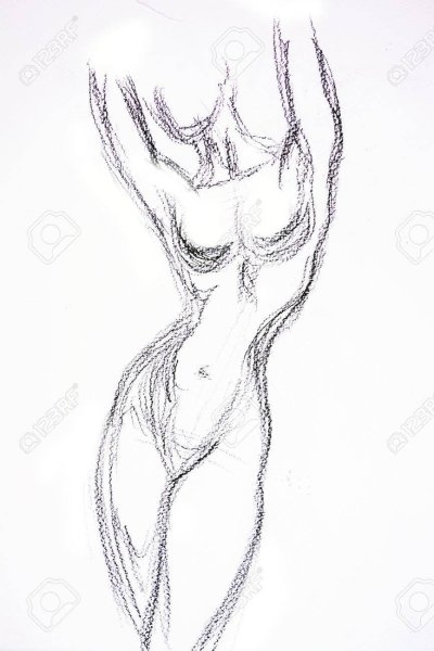 Торс девушки для рисования