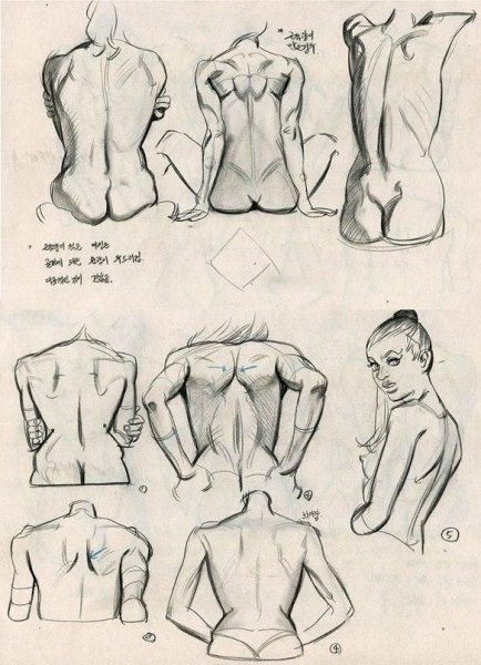 Торс женский для рисования