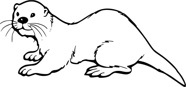 Выдра картинка раскраска