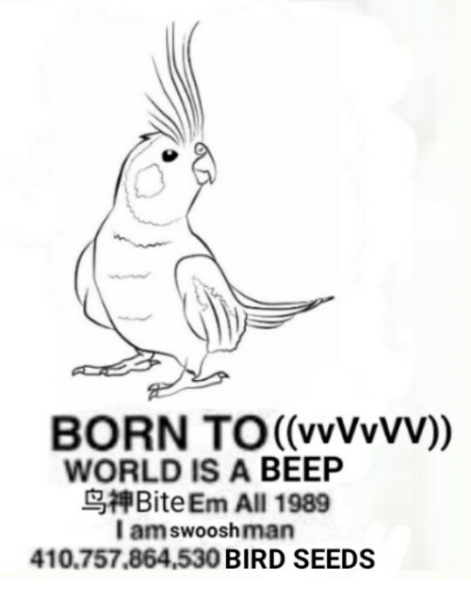 Нарисовать попугая карандашом