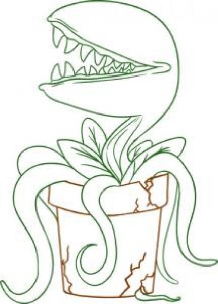 Венерина мухоловка цветок