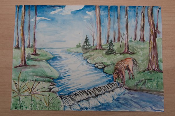 Природа родного края ХМАО