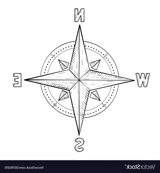 Роза ветров макет