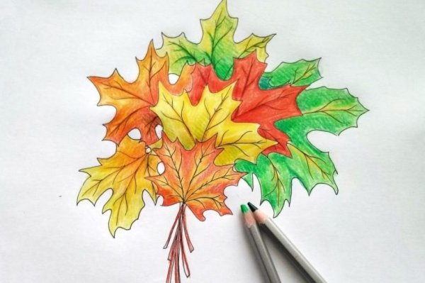 Рисование листьев цветными карандашами