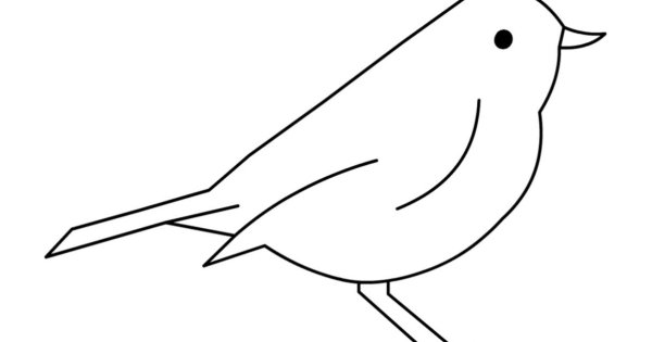 Птица карандашом для детей