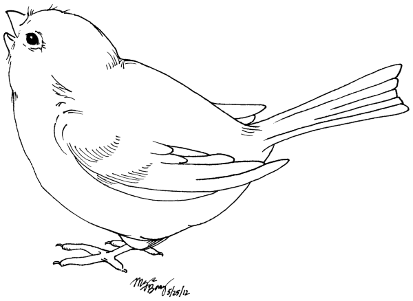 Птица контур